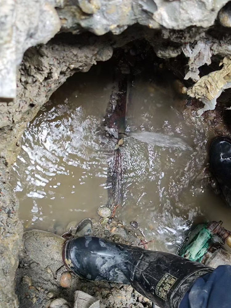 沙市专业绿化水管漏水检测维修